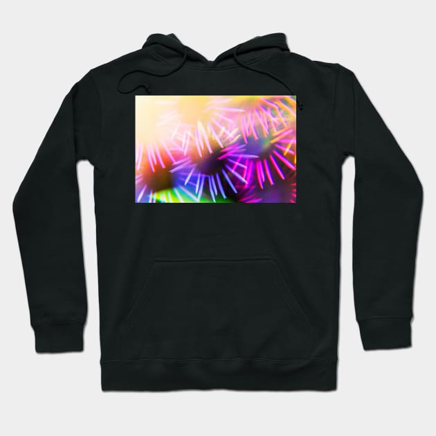 Fractal Echinacea no.4667 Hoodie by karinelizabeth